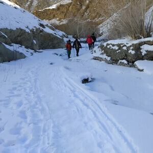 Chadar Trek Cost